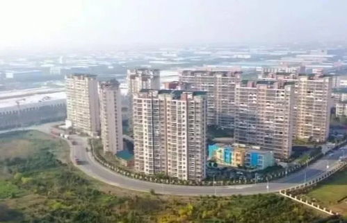 大連新春搶開局 新特產業加速跑